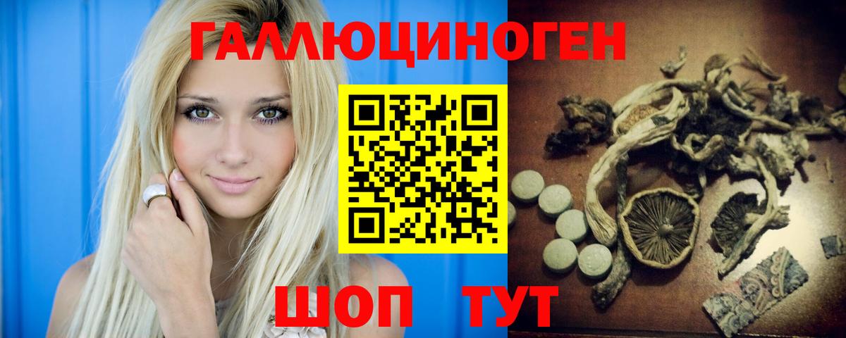 Галлюциногенные грибы Psilocybe Сергиев Посад